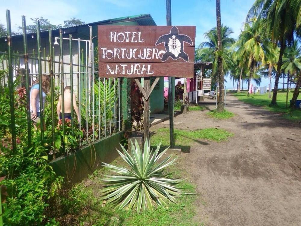 Cabinas Tortuguero Natural Ngoại thất bức ảnh