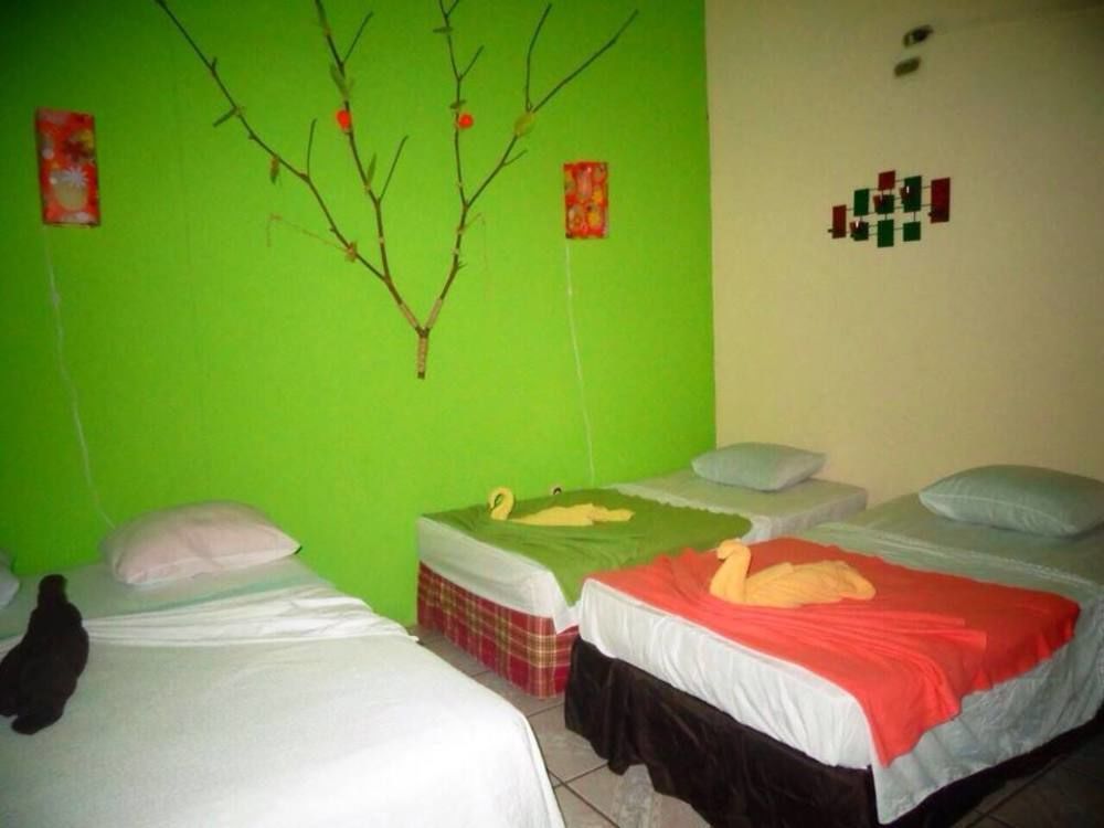 Cabinas Tortuguero Natural Ngoại thất bức ảnh