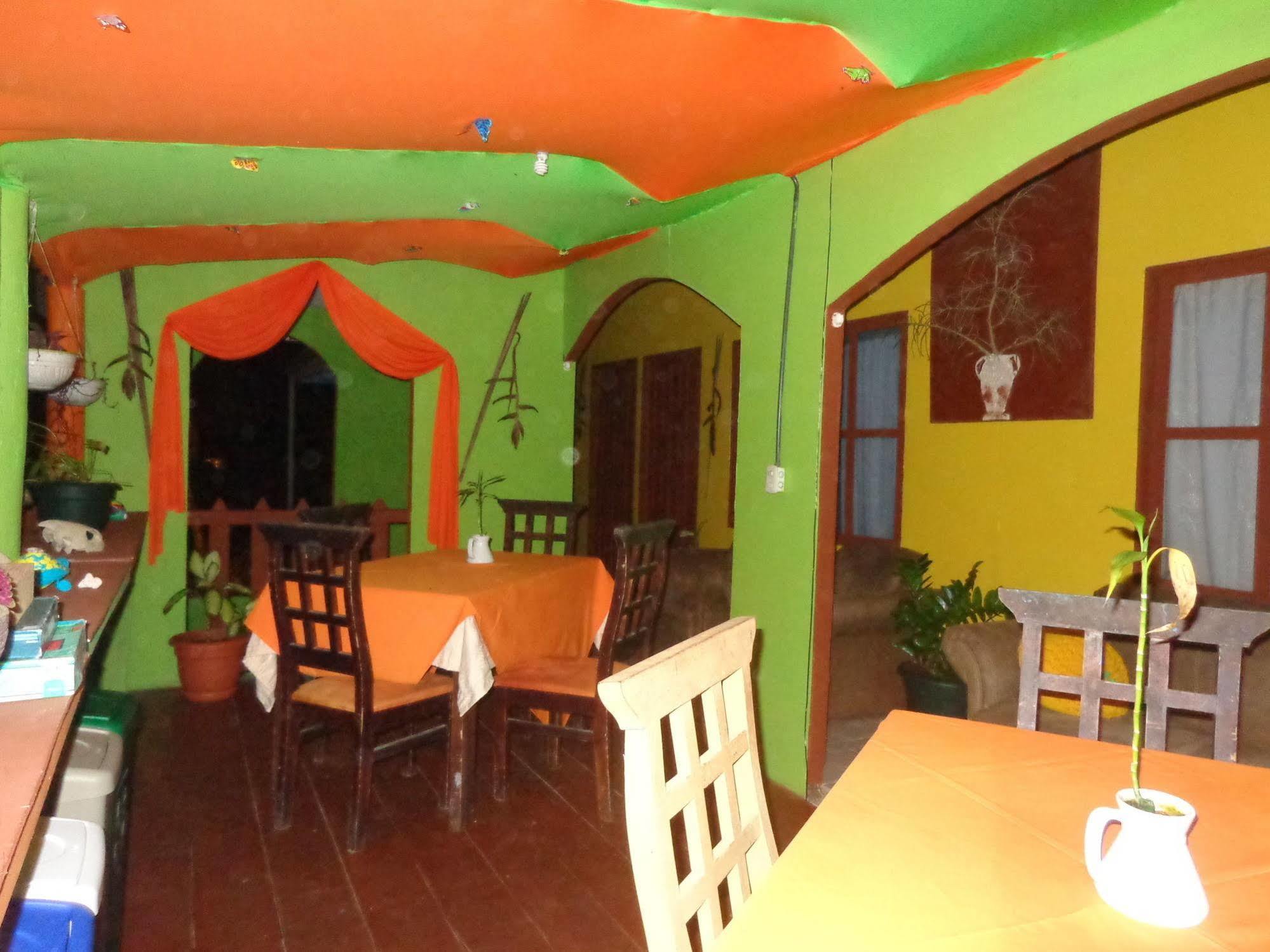 Cabinas Tortuguero Natural Ngoại thất bức ảnh